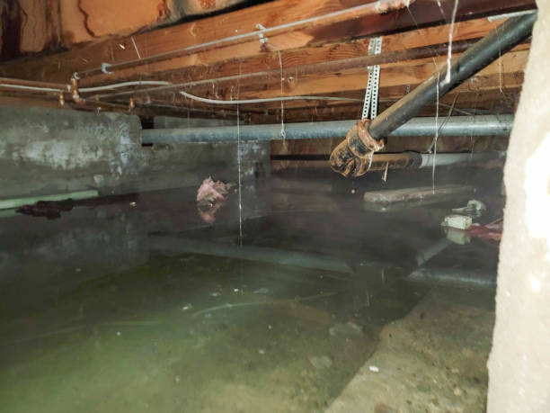 Best 24/7 water damage repair  in Butler, PA