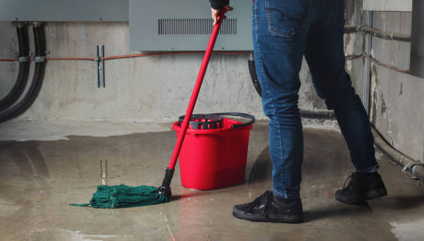 Best Water damage restoration near me  in Butler, PA