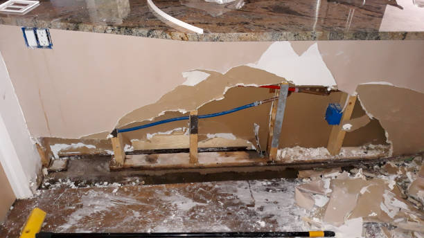 Best Water damage repair service  in Butler, PA