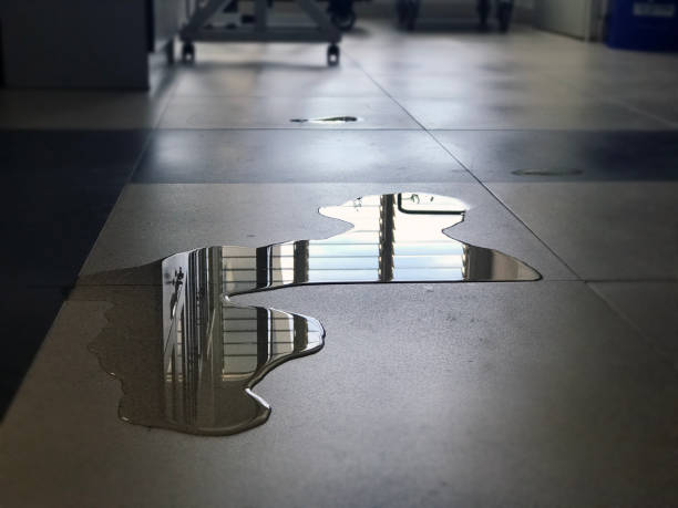 24/7 water damage repair in Butler, PA